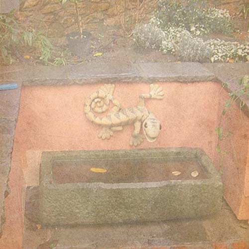 A Lizard Fountain